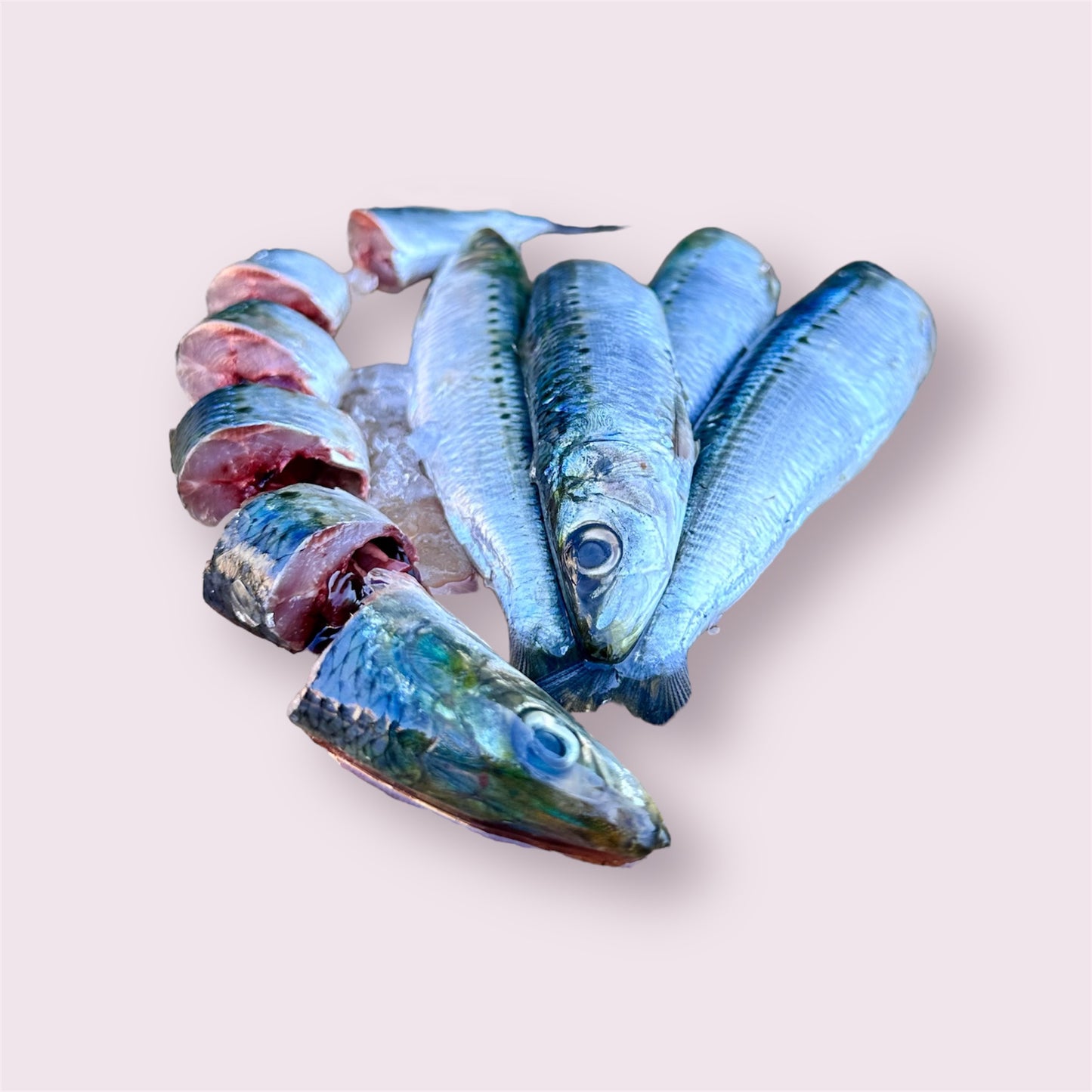 Raw Wild Caught Sardines - Promo Offer!