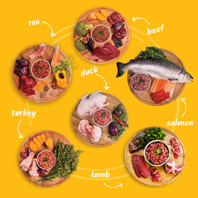 Variety - 6 Proteins 12 x 1kg