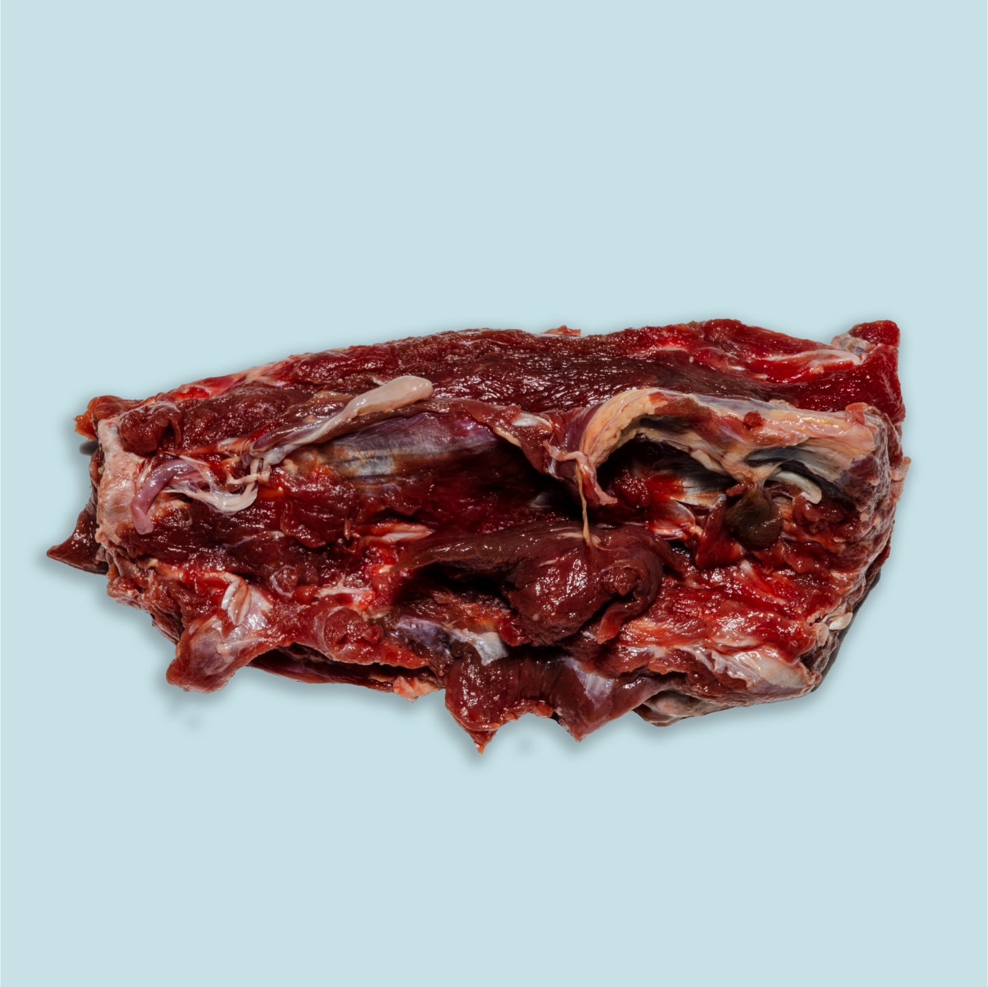raw roo tail for dogs individual