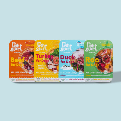 Starter Box for Dogs