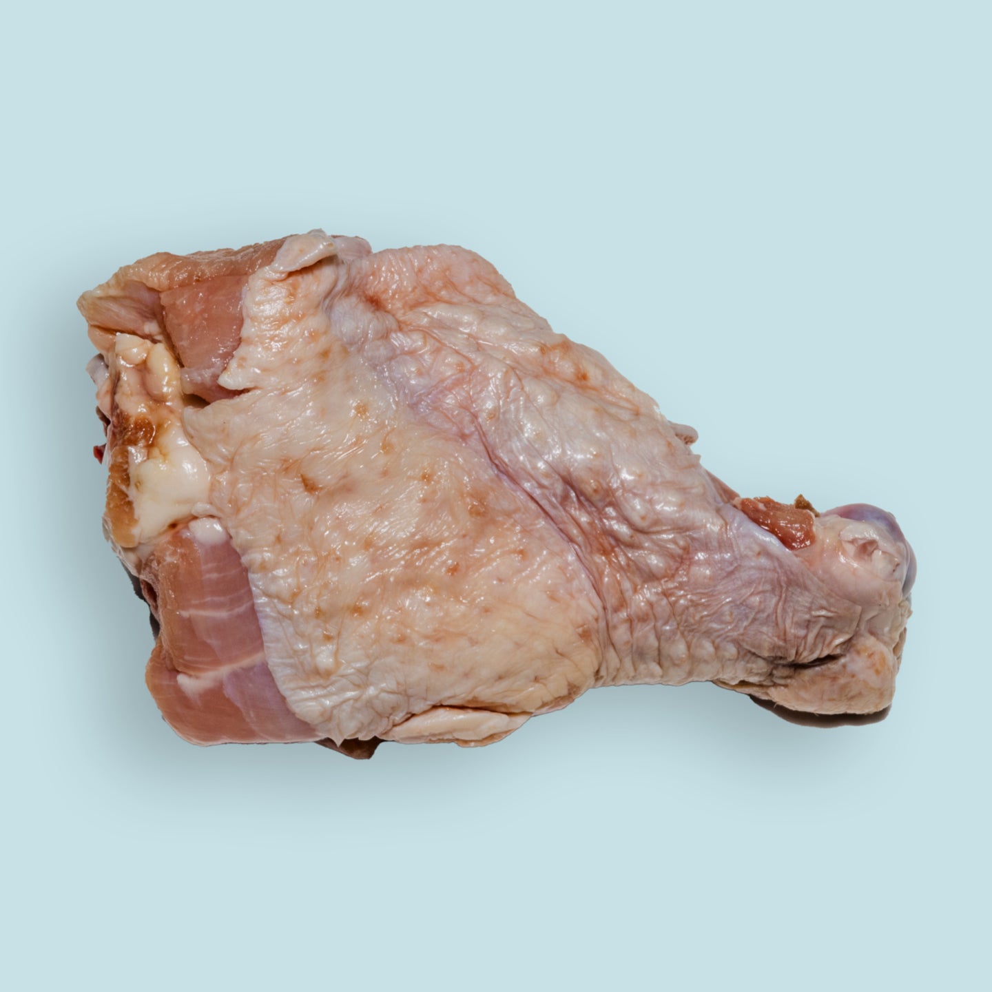 single raw turkey drum for dogs