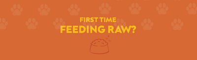 Starter guide: How to feed raw pet food for the first time