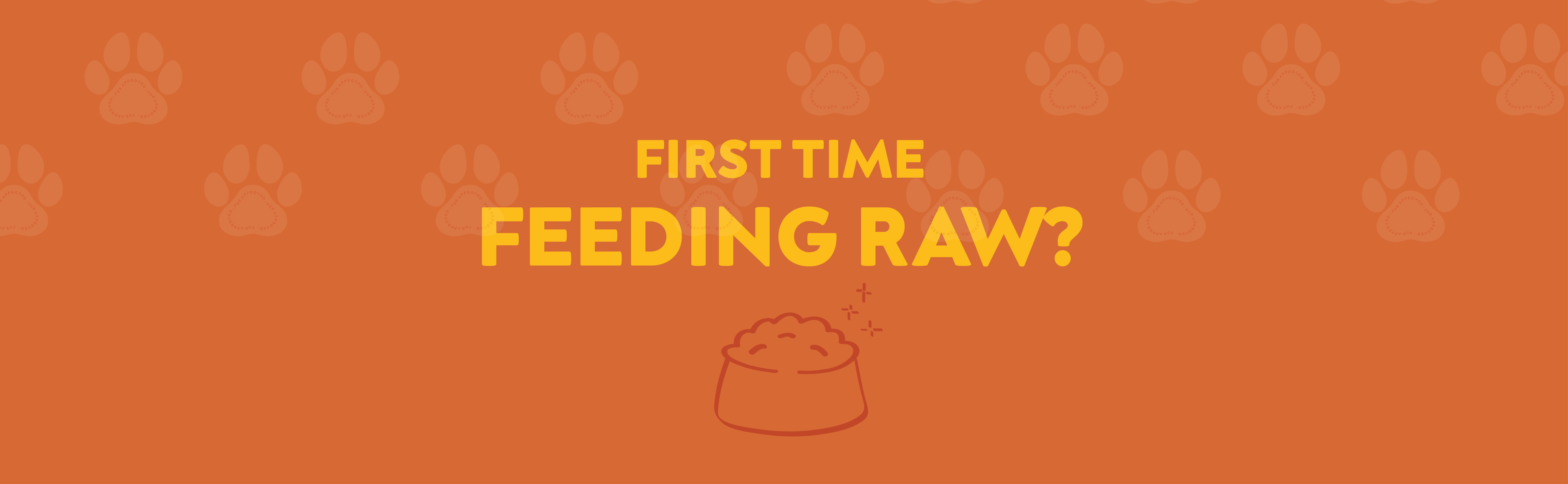 Starter guide: How to feed raw pet food for the first time
