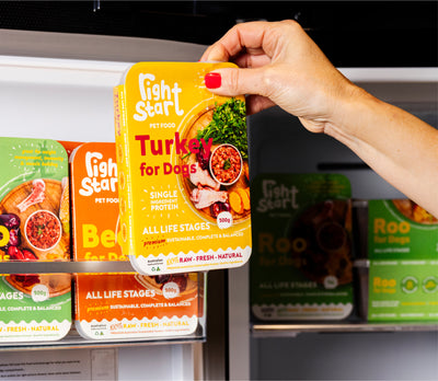 Right Start Pet Food – Storage & Care Instructions