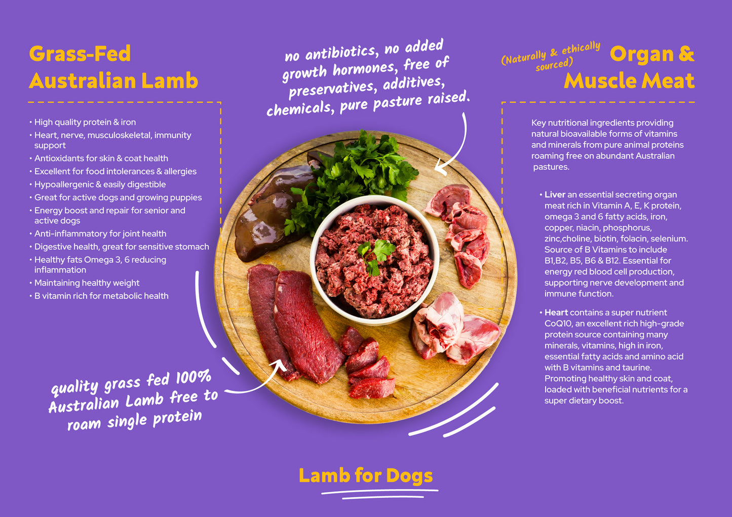 Bulk Box for Dogs