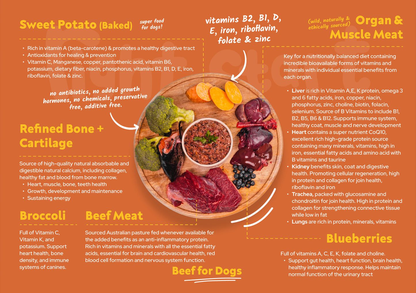 beef for dogs nutrient breakdown right start pet food. sweet potato, broccoli, blueberries, organ and muscle meat, refined bone and cartilage nothing added