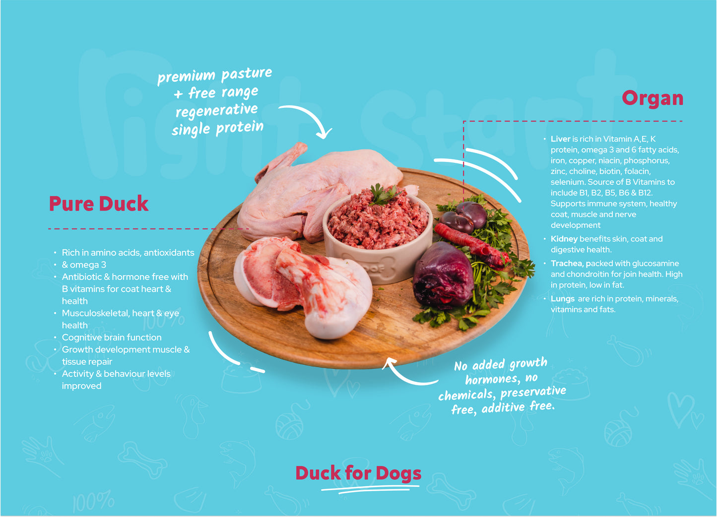 bone box for dogs duck nutrition information