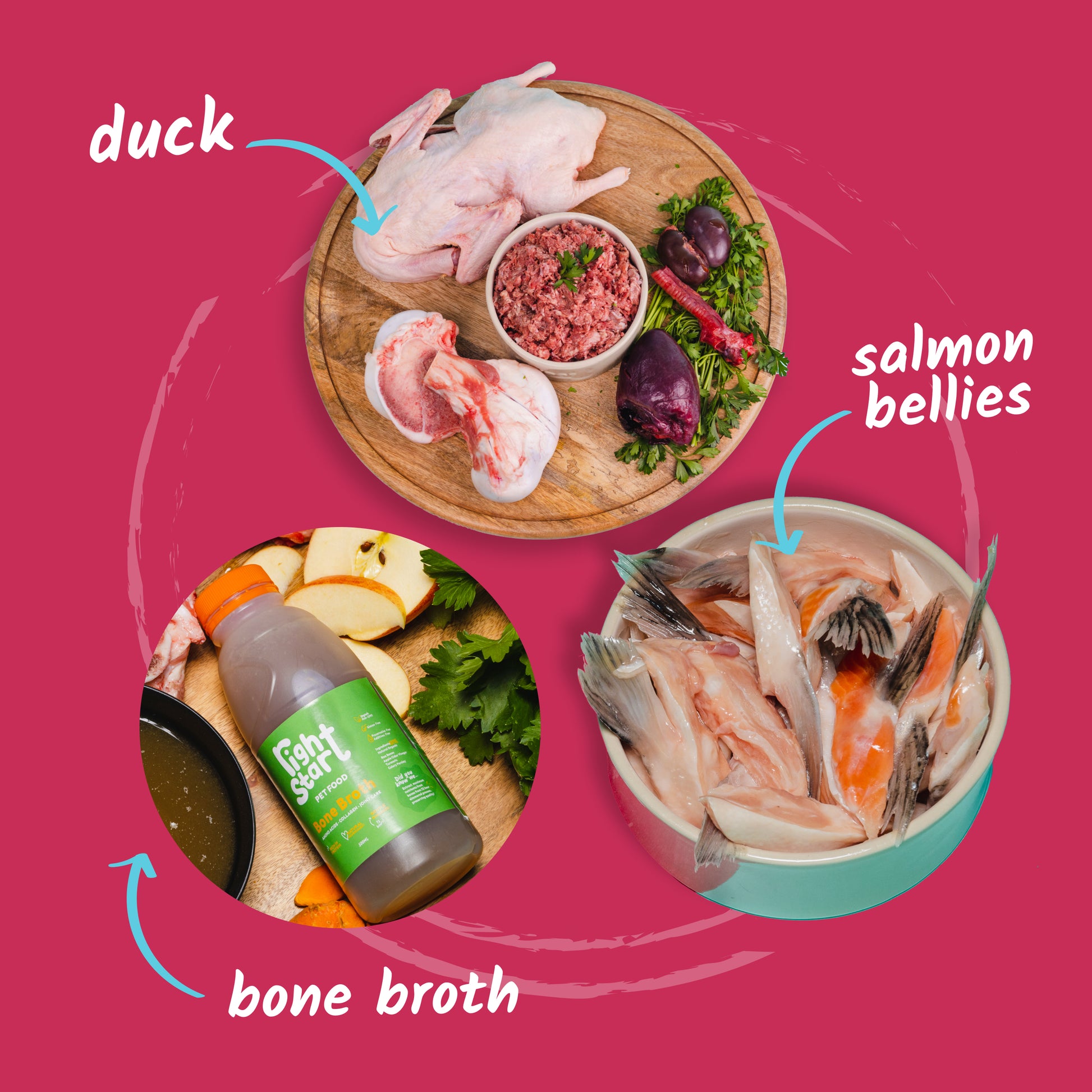 bone broth, raw full duck on platter, salmon bellies in bowl.