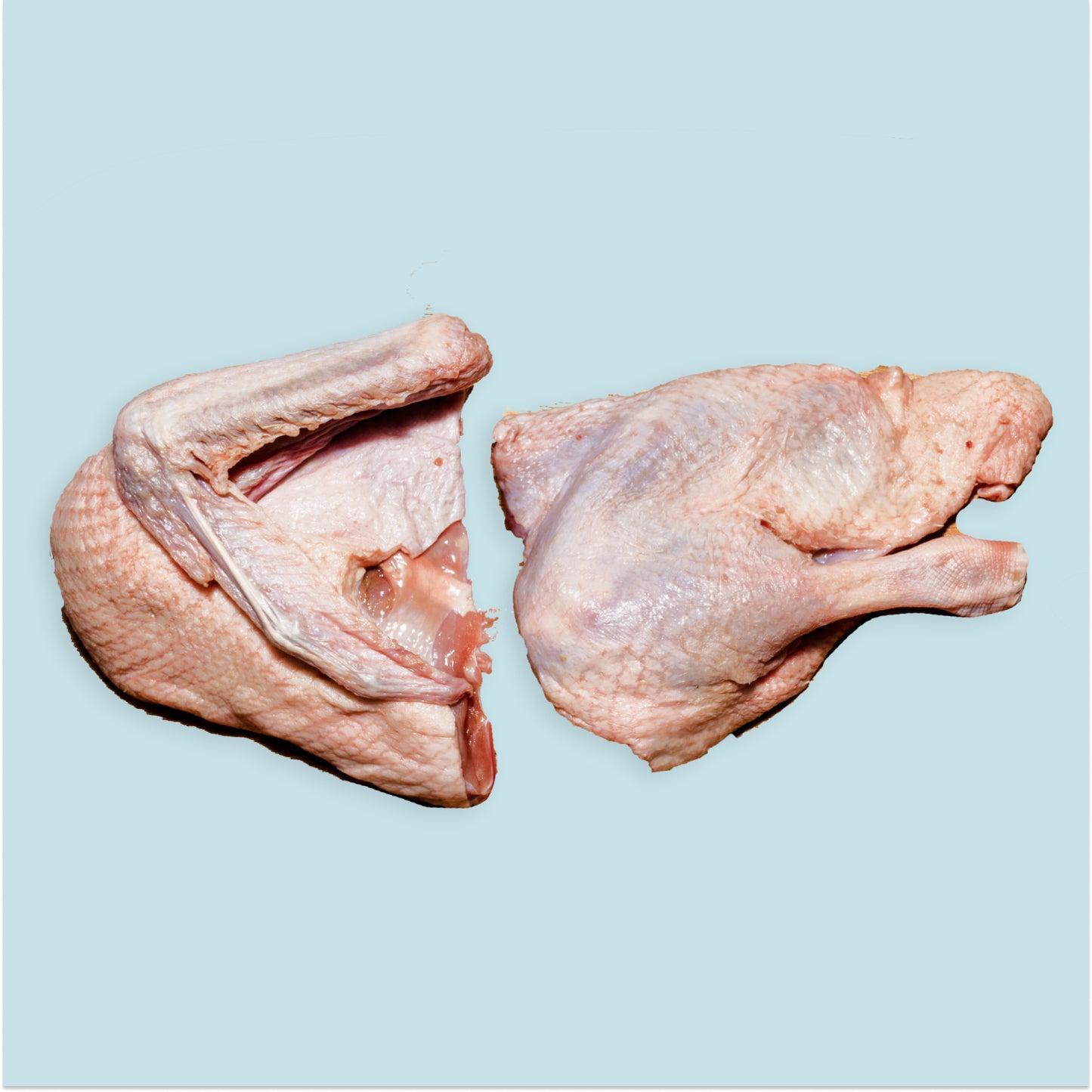 raw duck pieces for dogs