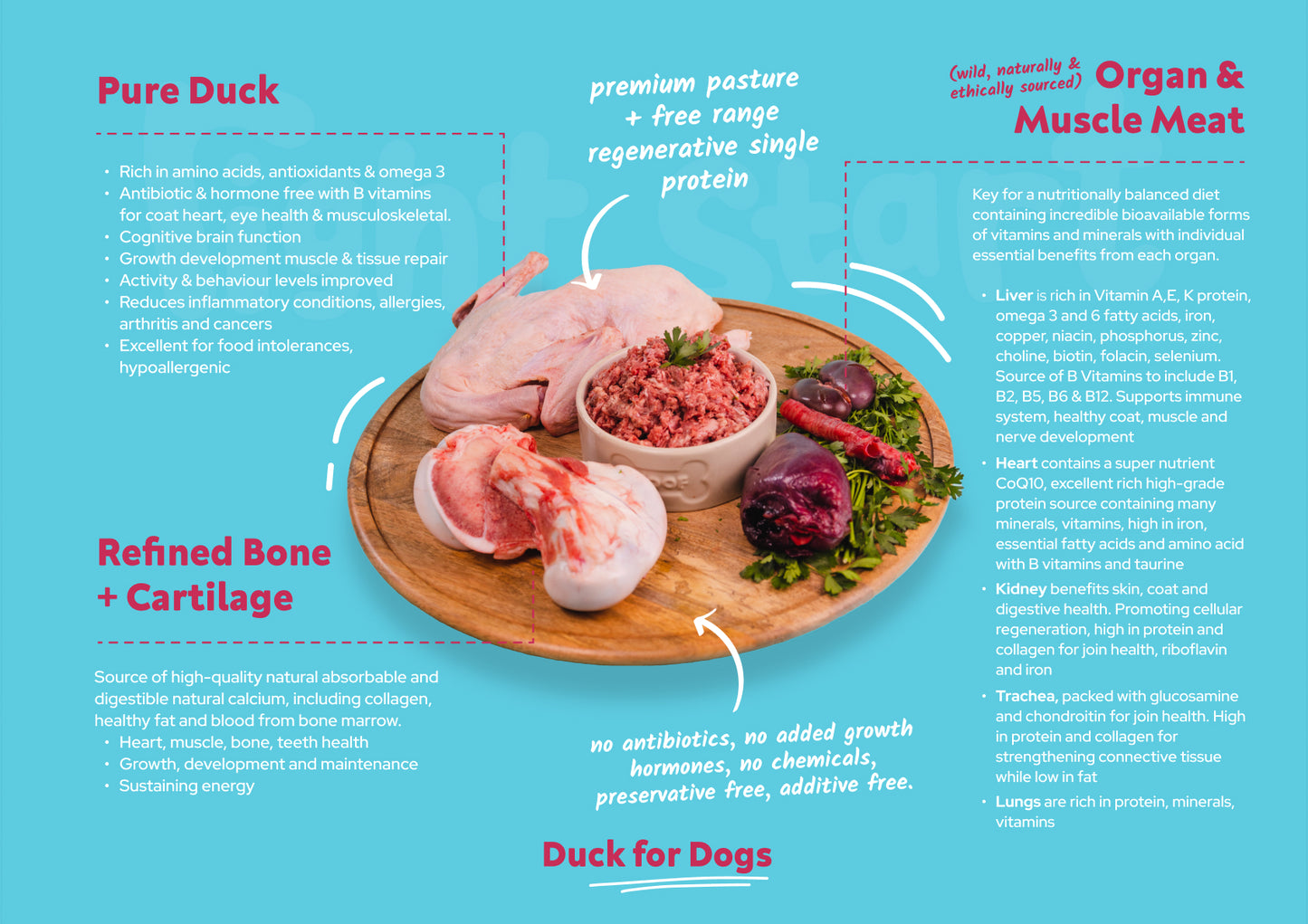 duck for dogs nutrient breakdown right start pet food. organ and muscle meat, refined bone and cartilage nothing added