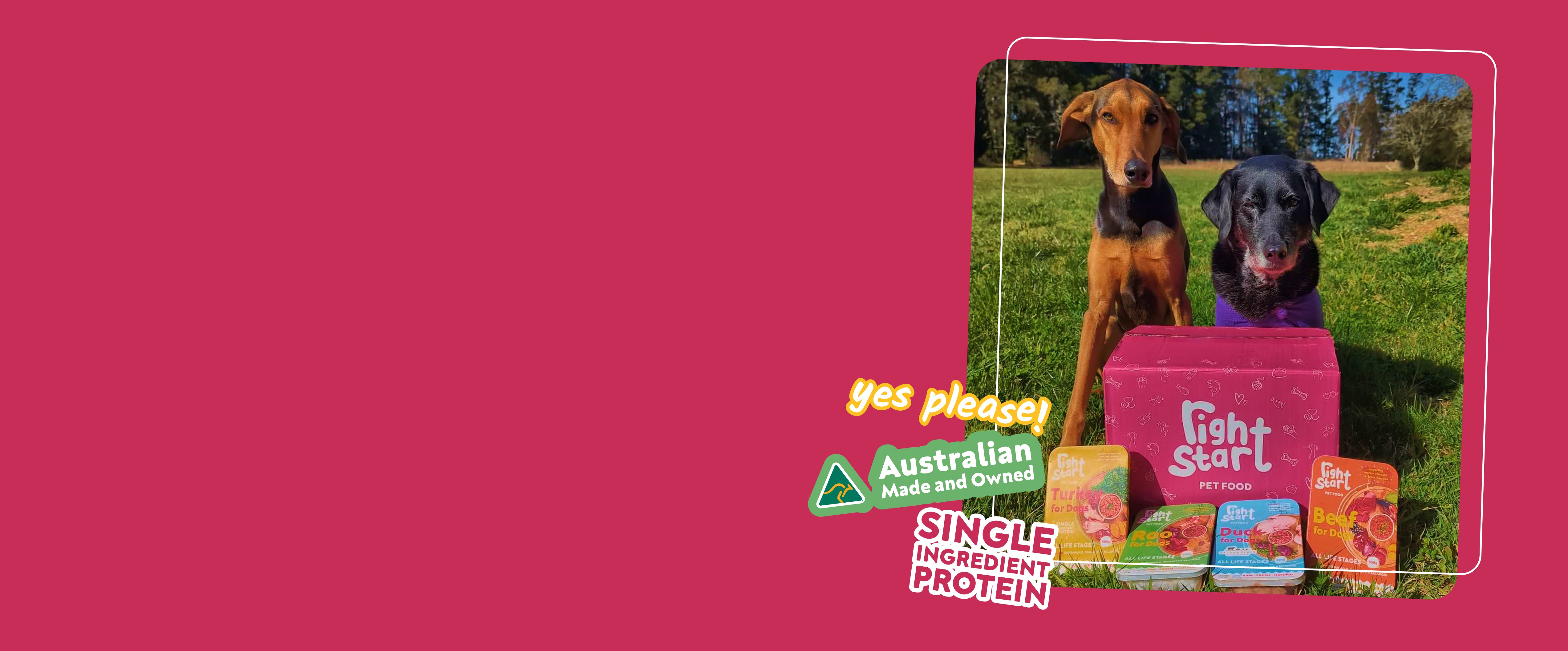 two dogs one brown one black sitting side by side behind a range of right start pet food colourful packaging 