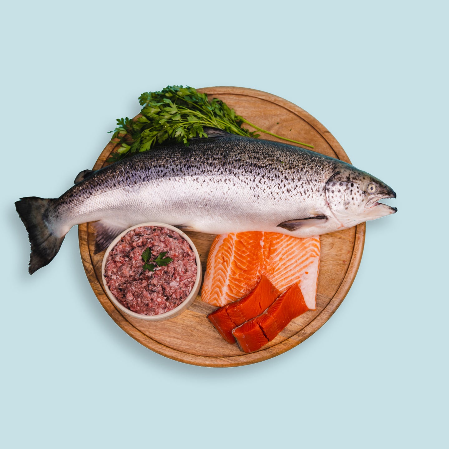 salmon for dogs on plate