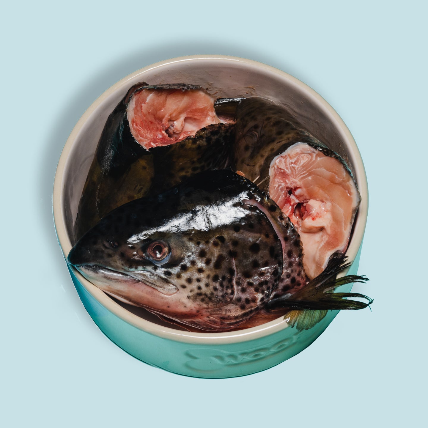 salmon heads for dogs in bowl