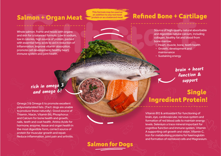 salmon for dogs nutrient breakdown right start pet food. organ meat refined bone and cartilage nothing added